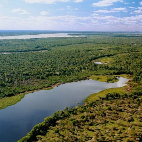 Justiça Federal determina que gado criado de forma irregular na Ilha do Bananal seja apreendido caso proprietário não o retire do local em 180 dias