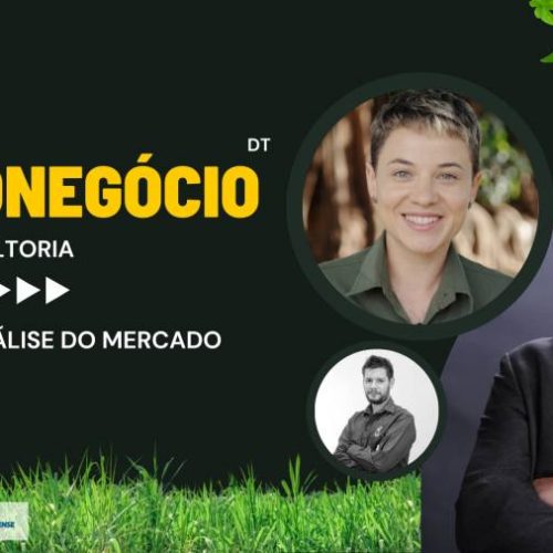 Perspectivas e investimentos no mercado pecuário brasileiro: análise do ciclo e produção pecuária