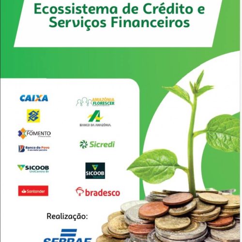 Sebrae Tocantins cria ambiente virtual para acesso ao crédito