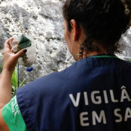 Ministério da Saúde convoca o Tocantins para Dia D contra a dengue