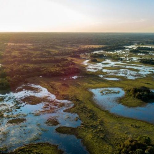 Reduções dramáticas na perda de florestas primárias no Brasil coincide com mudanças políticas; Tocantins não entra na lista