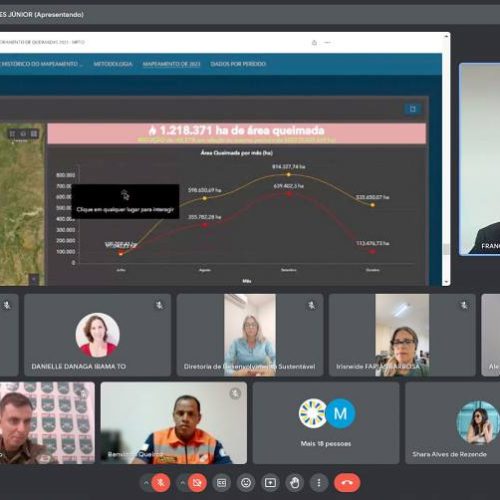 MPTO participa de reunião do ComitÃª do Fogo para alinhar ações de combate a queimadas e incÃªndios florestais