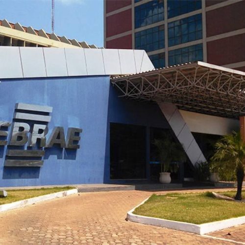 Sebrae alerta para fim do prazo da DeclaraÃÂ§ÃÂ£o Anual do MEI