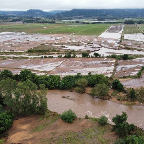 Agrônomo e analista Alcides Torres, explica impacto nas safras de grãos com enchentes no Rio Grande do Sul