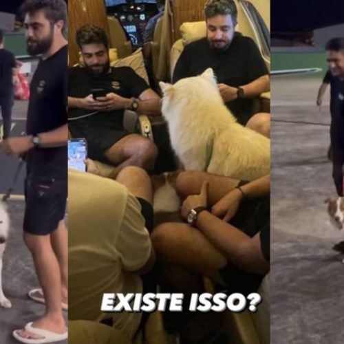 Henrique & Juliano sequestram pets e Nattan e os levam para Palmas, veja o vídeo