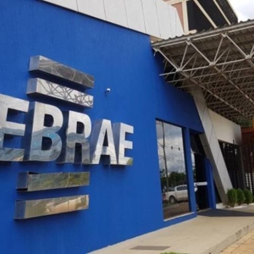 Sebrae Tocantins promove workshop "Candidato Empreendedor" para eleições 2024