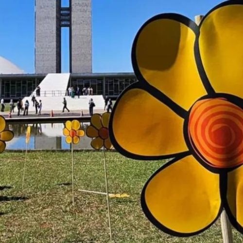 Conscientização e Ação: combatendo o abuso infantil durante o Maio Laranja