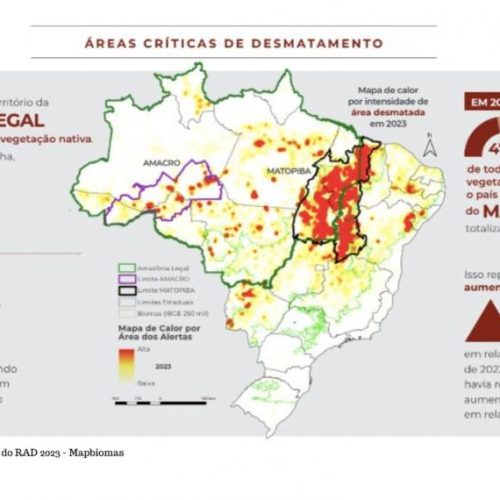 Tocantins cai no ranking de estados que mais desmatam