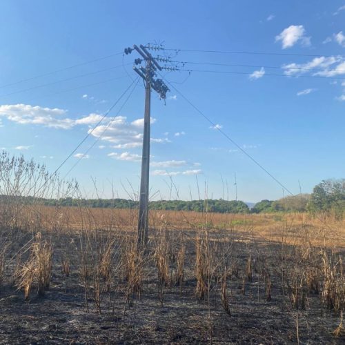 IncidÃªncia de queimadas no Tocantins caem quase 40%