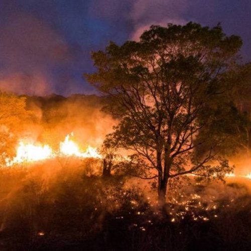 Ãndice de queimadas disparam 81% no Brasil nos primeiros 4 meses do ano