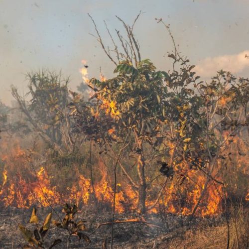 Tocantins registra aumento de 48% nos focos de queimadas