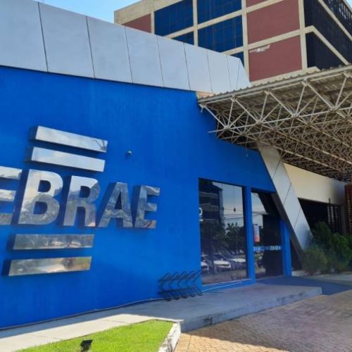 Abertura de MEIs lidera crescimento de pequenos negócios no Tocantins em 2024