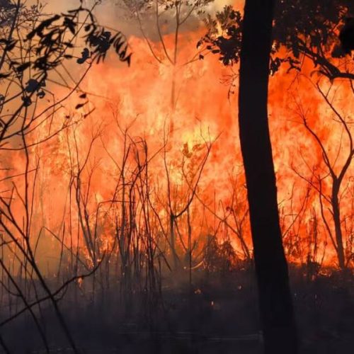 IncÃªndio de grandes proporções atinge vegetação próxima ao Aeroporto Brigadeiro Lysias Rodrigues