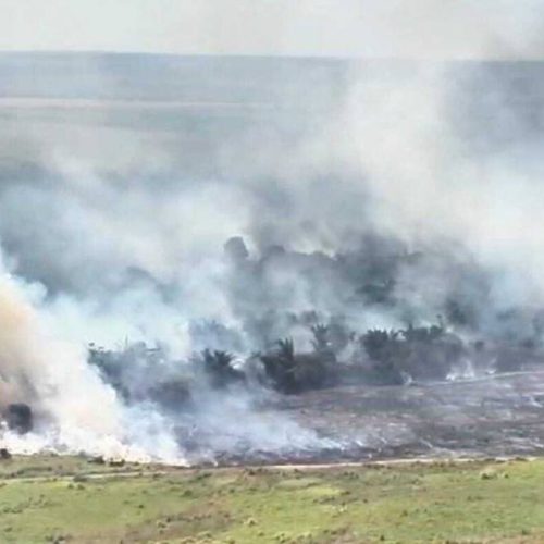 Corpo de Bombeiros realiza operação para combater incÃªndio de grande proporção na Fazenda Guarabu, em Araguaína