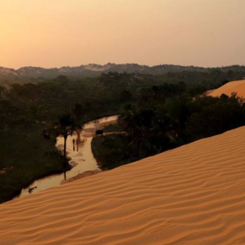 Campanha "Um Dia no Parque" incentiva preservação em Unidades de Conservação do Tocantins