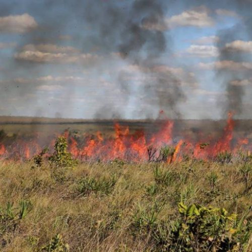 Naturatins suspende a emissão e a vigÃªncia das autorizações de queima controlada em todo o Tocantins