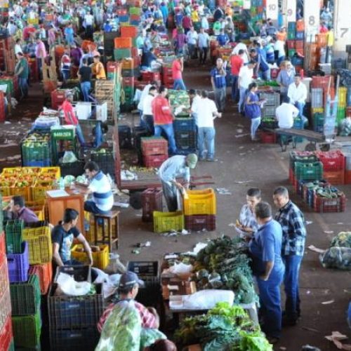 Dados do Ceasa apontam para diferenças exorbitantes de preço entre Tocantins e Goiás; confira