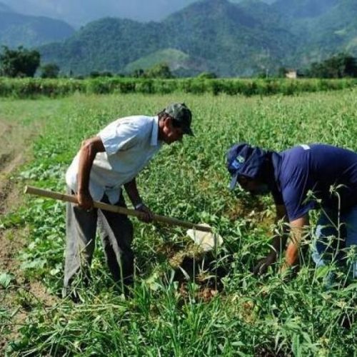 Agricultores do Tocantins investem mais de R$ 305,6 milhões na safra 2023/2024