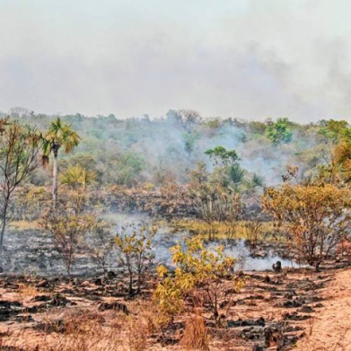 Baixa umidade e queimadas afetam saúde no Tocantins