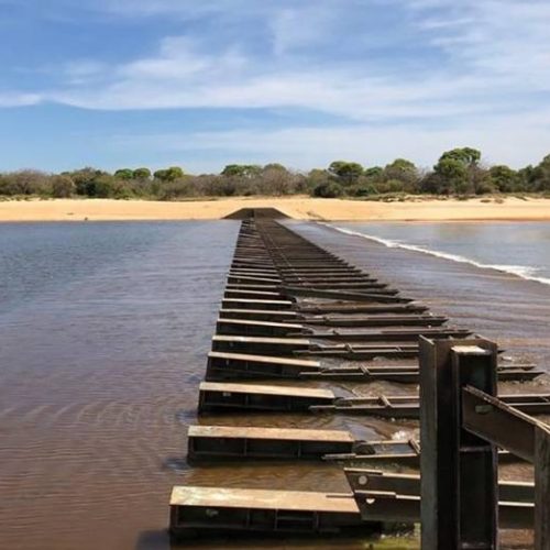 Corpo em avançado estado de decomposição é encontrado em Lagoa da Confusão