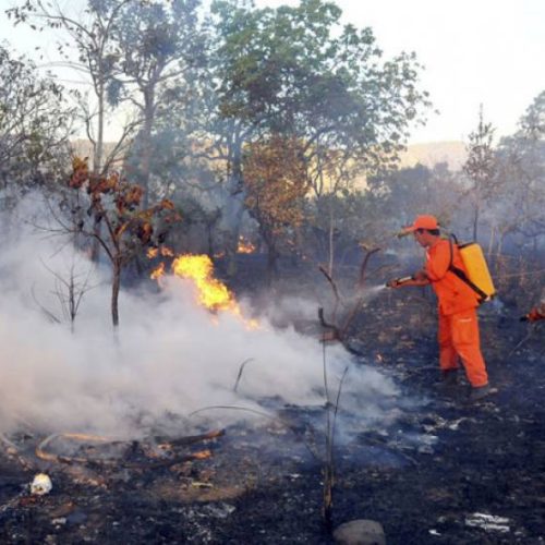 Queimadas se intensificam no Tocantins e em Goiás; Brasil enfrenta aumento crítico nos focos de incÃªndio em agosto