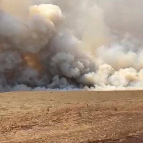 Bombeiros controlam incÃªndio de grandes proporções em Buritirana, distrito de Palmas