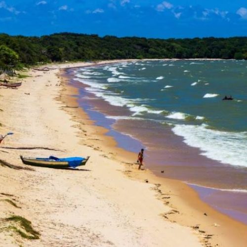 Paraíso secreto na Amazônia tem búfalos nadando nas águas cristalinas e encontro apaixonante do Rio Amazonas com o mar