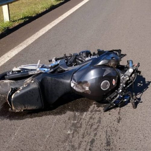 Tragédia na TO-010: motociclista morre após colisão violenta com animal