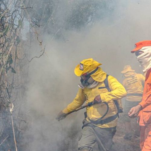 Tocantins já registrou mais de 10.880 incÃªndios em 2024; Estado ocupa a quarta posição no ranking nacional