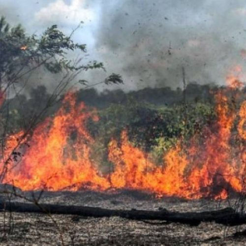 Exclusivo: Exército reforçará combate Ã s queimadas no Tocantins