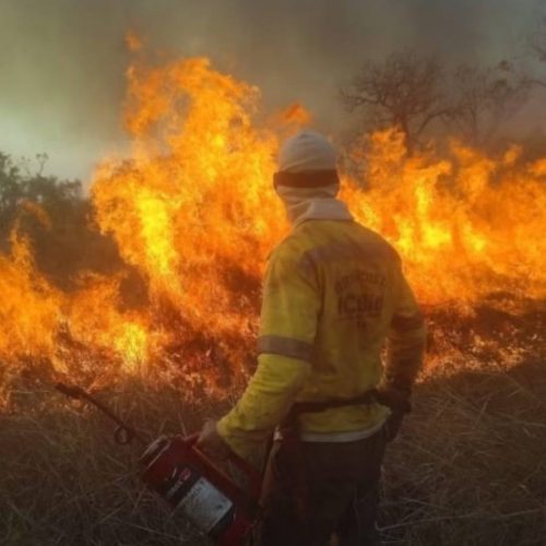 Destruição sem fim! IncÃªndio na Ilha do Bananal já consumiu 250 mil hectares