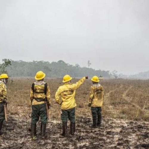 Supremo Tribunal Federal autoriza orçamento de guerra para combate a incÃªndios florestais e queimadas ilegais no Brasil