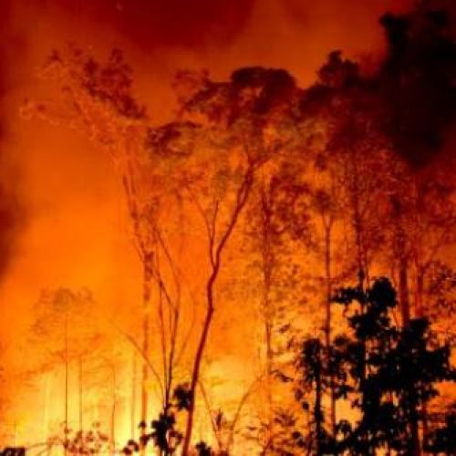 Tocantins em chamas: seca implacável e queimadas descontroladas ameaçam colapsar o estado