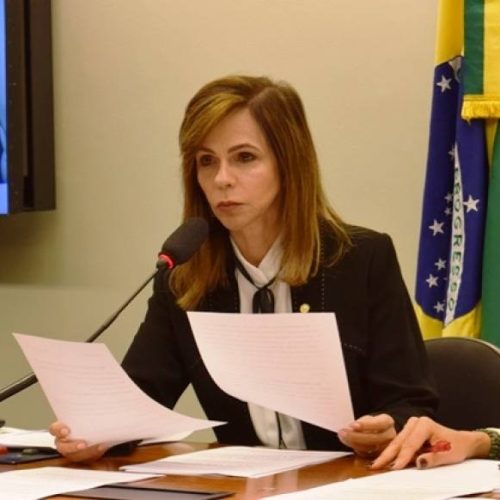 Aprovada relatoria da deputada Dorinha sobre proposta que assegura estÃÂ¡gio educativo no setor pÃÂºblico