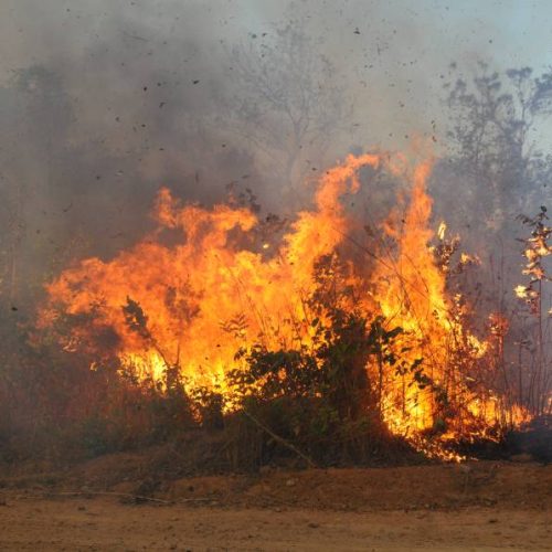 Governo Tocantins anuncia forÃÂ§a-tarefa de combate ÃÂ s queimadas e contrataÃÂ§ÃÂ£o de brigadistas