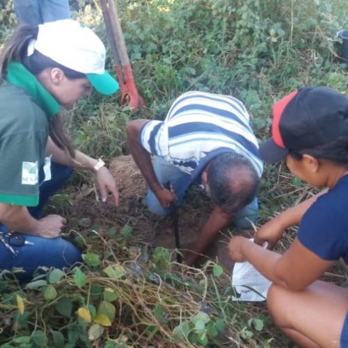 Produtores de Araguatins recebem curso de Trabalhador na RecuperaÃÂ§ÃÂ£o de ÃÂreas Degradadas