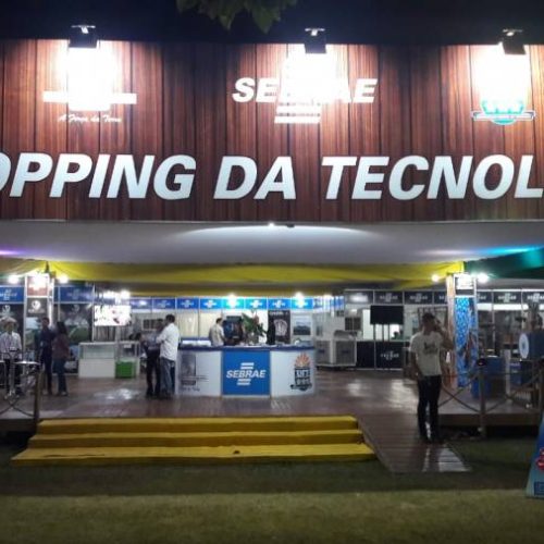 Sebrae realiza Encontro de Mulheres do AgronegÃÂ³cio Tocantinense na Expoara 2018