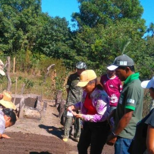 SENAR realiza Curso de Trabalhador na Olericultura no municÃÂ­pio de Peixe