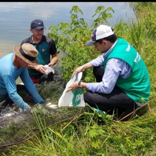 Piscicultor comemora resultados na produÃÂ§ÃÂ£o com AssistÃªncia TÃÂ©cnica e Gerencial do Senar