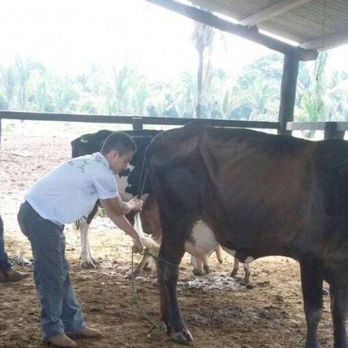 SENAR realiza curso de Trabalhador na Sanidade Animal para Bovinocultura de Leite no Assentamento PA Marina