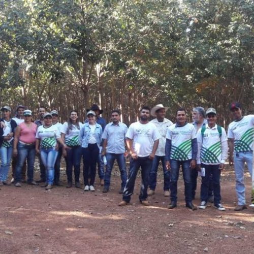 Alunos do curso TÃÂ©cnico em AgronegÃÂ³cio do SENAR participam de aula prÃÂ¡tica sobre a Cultura da Seringueira