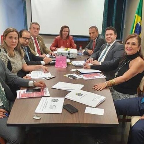 Senadora KÃÂ¡tia Abreu ÃÂ© escolhida lÃÂ­der da bancada federal do Tocantins no Congresso Nacional