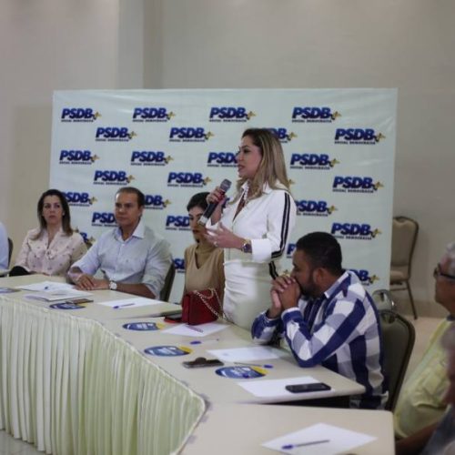 Luana Ribeiro participa de reuniÃÂ£o com membros do PSDB no Tocantins