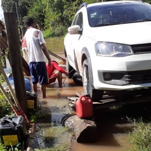 Alagamentos em Araguatins continua e bombeiros trabalham em resgate de animais