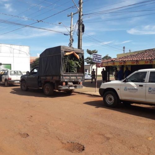 Adapec apreende carga com mudas frutÃÂ­feras irregulares em Miranorte