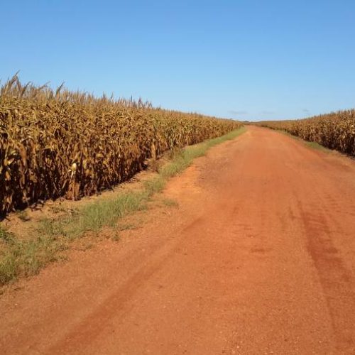 Consultas pÃÂºblicas para o Plano de Zoneamento ecolÃÂ³gico-econÃÂ´mico do Tocantins acontecem a partir de 5 julho