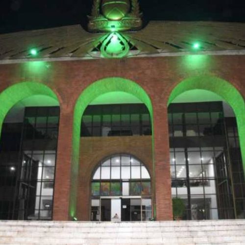 PalÃÂ¡cio Araguaia ÃÂ© iluminado de verde como homenagem aos profissionais de SaÃÂºde