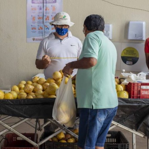 Feira da 304 Sul entra em funcionamento seguindo as medidas de seguranÃÂ§a