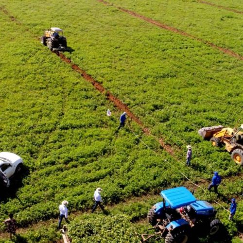 Projeto Campo SustentÃÂ¡vel conclui atividades desenvolvidas em propriedades do Tocantins