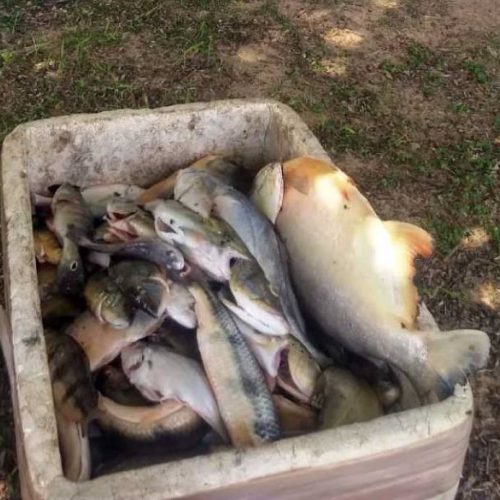 FiscalizaÃÂ§ÃÂ£o integrada realiza aÃÂ§ÃÂ£o preventiva de caÃÂ§a no Parque Estadual do Lajeado